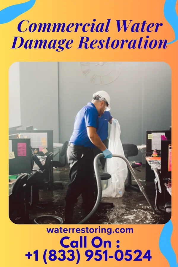 Commercial Water Damage Restoration in East Carondelet, IL
