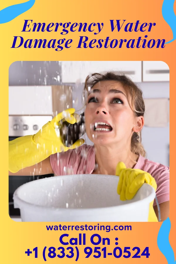 Emergency Water Damage Restoration in East Carondelet, IL